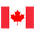 saddyauctions Canada flag