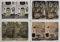 stereocards, St. George Ontario, tall mounts, 3d, tinted, municipal office, burt road, autumn scenic, Haas Block, high school, front door